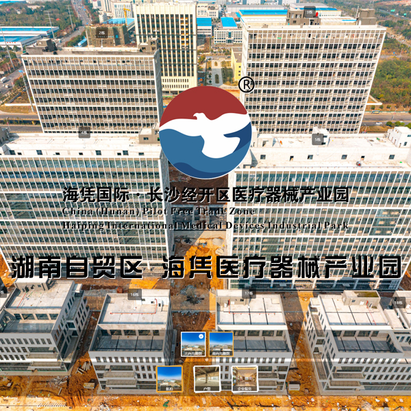 海凭国际·长沙经开区医疗器械产业园