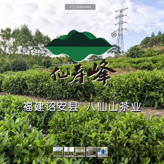 诏安县八仙山茶业有限公司